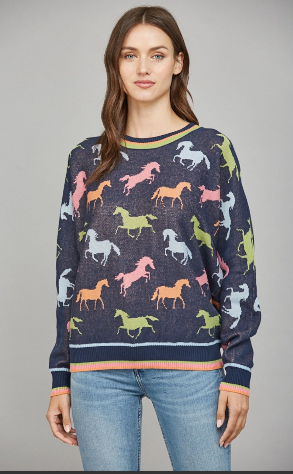Colorblock Horse Sweater