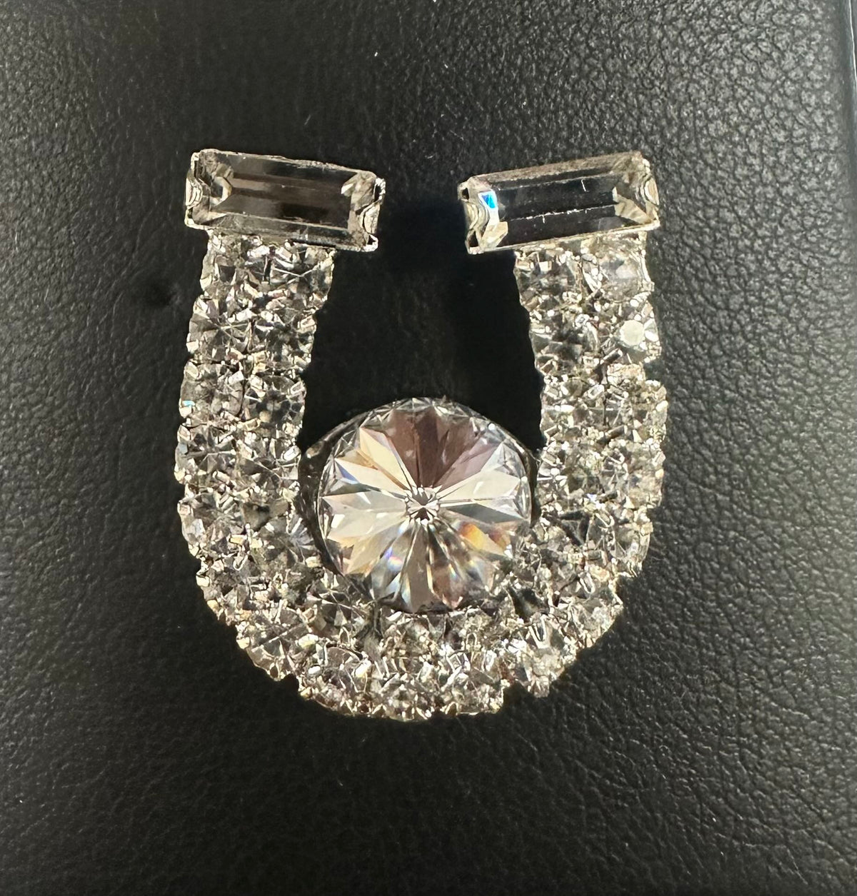 Lapel Magnet Clear