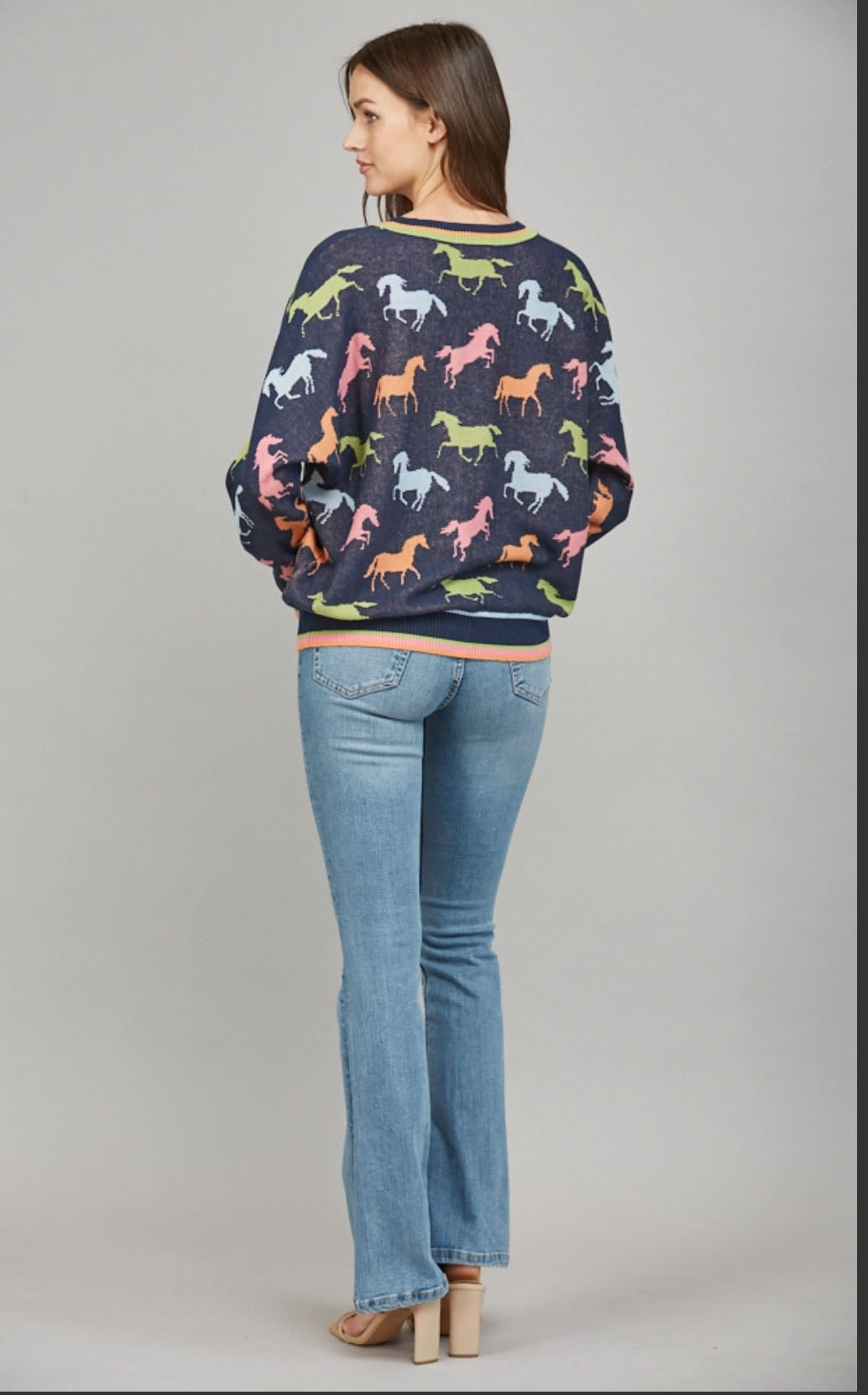 Colorblock Horse Sweater