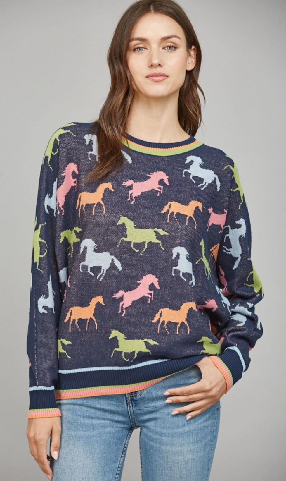 Colorblock Horse Sweater